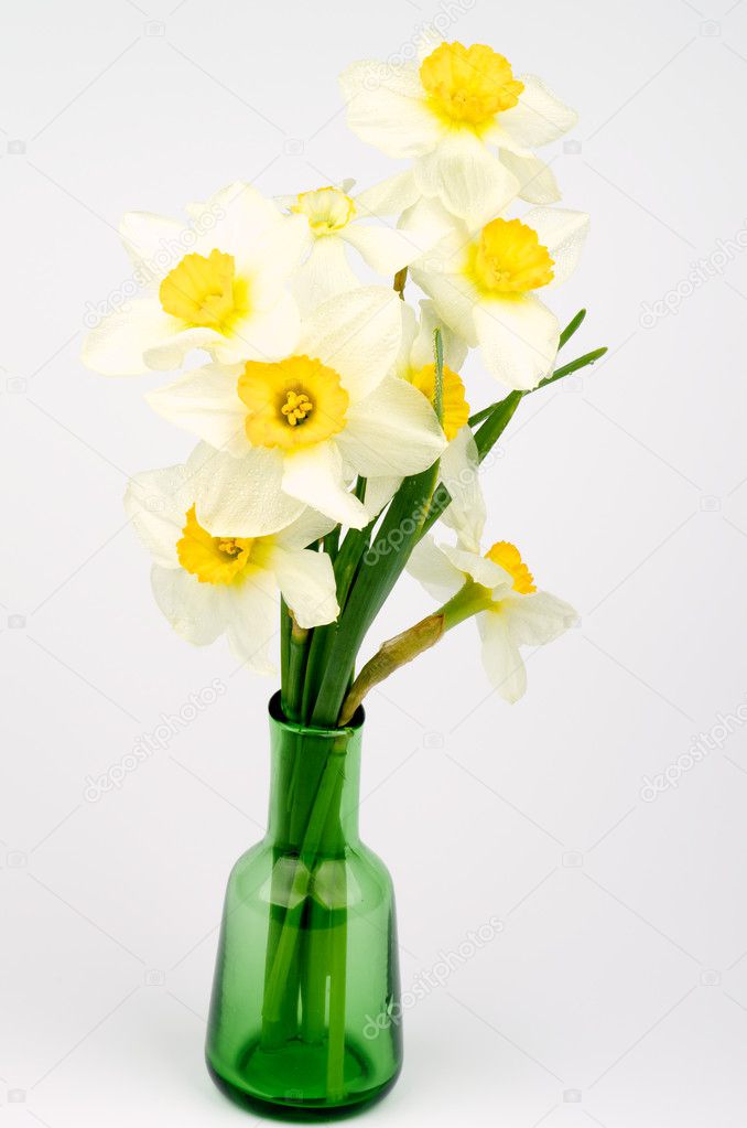 Bouquet De Jonquilles Image Libre De Droit Par Zhekos C