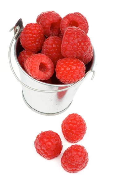 Himbeeren — Stockfoto