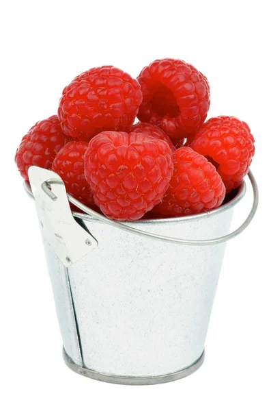 Raspberries in Bucket — Stock Photo, Image