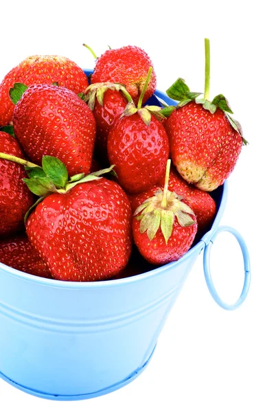 Strawberries in Blue Bucket — Stock Photo, Image