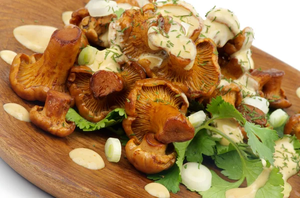 Peynir soslu kızarmış chanterelles — Stok fotoğraf