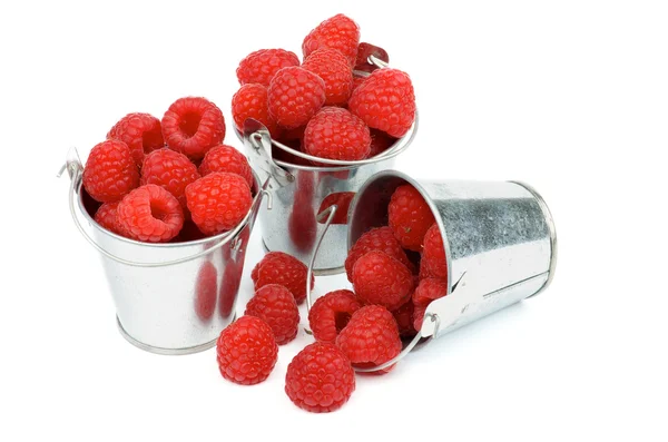 Buckets with Raspberries — Stock Photo, Image