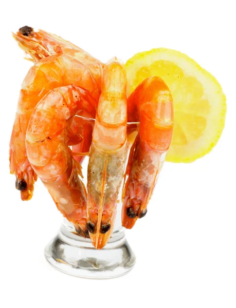 Shrimp Cocktail — Stock Photo, Image