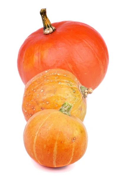 Three Pumpkins — Stock Photo, Image