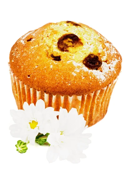Rodzynki muffin — Zdjęcie stockowe