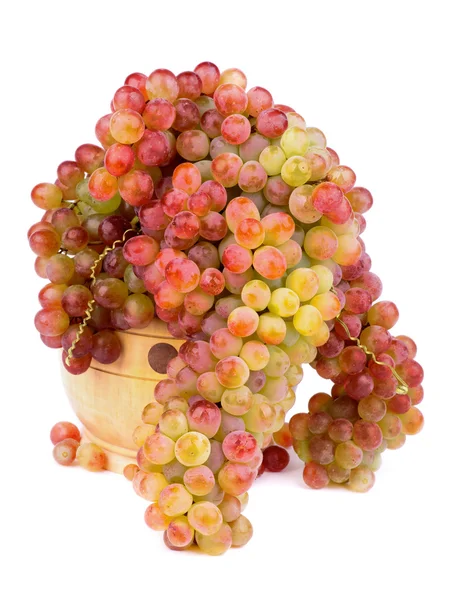 Sultana Grape — Stock Photo, Image