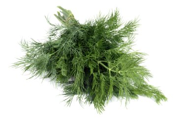 Dill.
