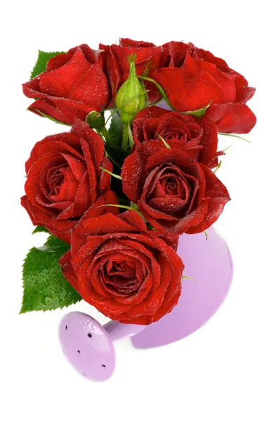 Red Roses — Stock Photo, Image