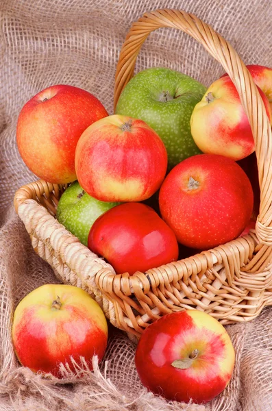 Autumn Apples — Stock Photo, Image