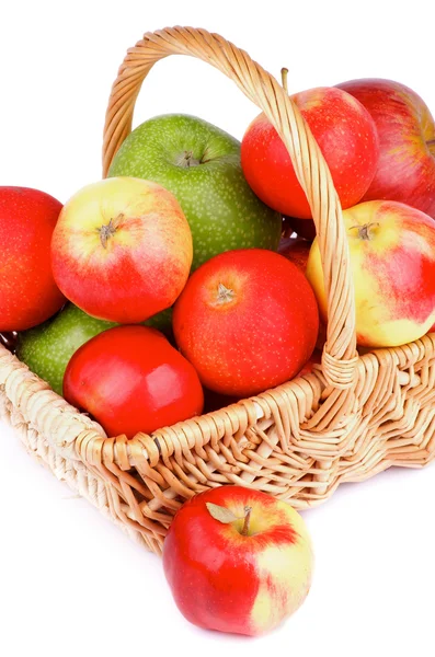 Podzimní jablka — Stock fotografie