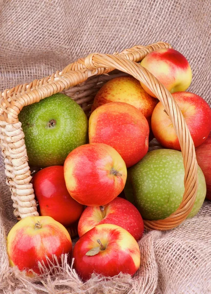 Autumn Apples — Stock Photo, Image