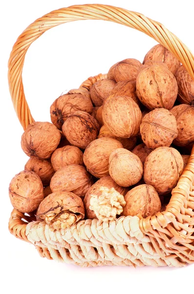 Nueces — Foto de Stock