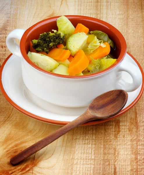 Rustic Stew — Stock Photo, Image