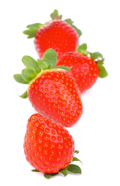 Fragole — Foto Stock