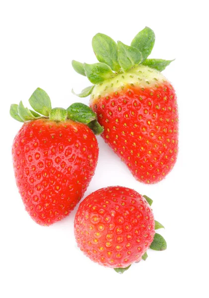 Erdbeeren — Stockfoto