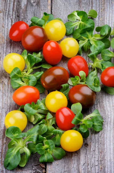 Various Cherry Tomatoes — Stock Photo, Image