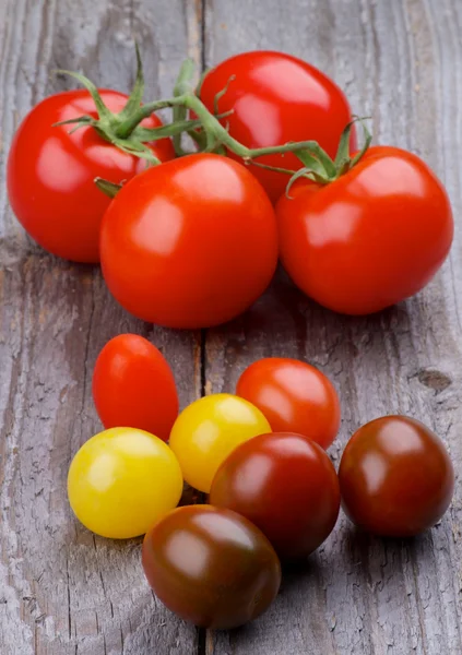 Различные помидоры — стоковое фото