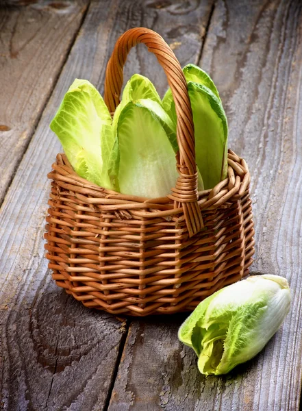 Andijvie bladeren — Stockfoto