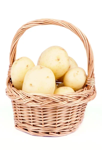 Skörden färskpotatis — Stockfoto