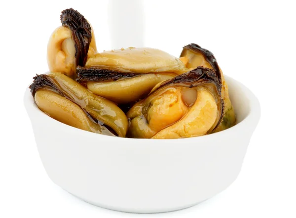 Mussels — Stock Photo, Image