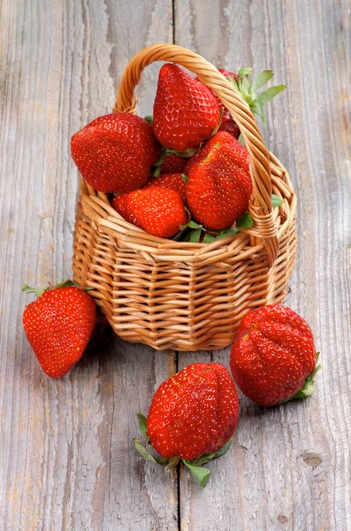 Erdbeeren — Stockfoto