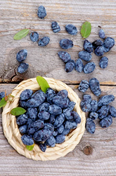 Honeysuckle Berries — Stock Photo, Image