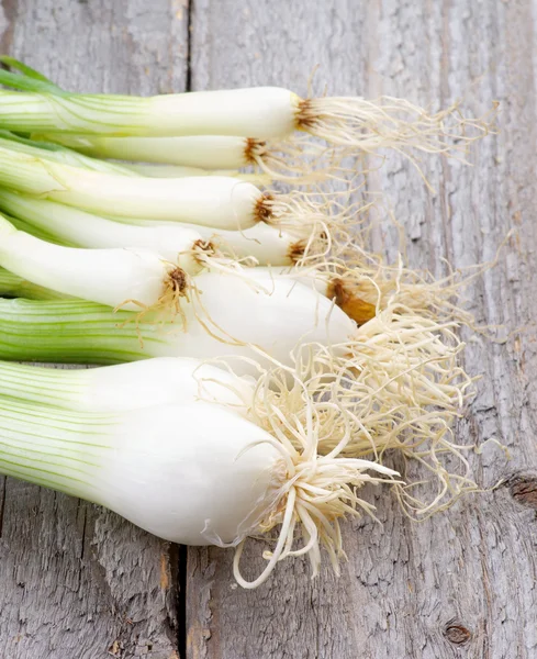 Spring Onion — Stock Photo, Image