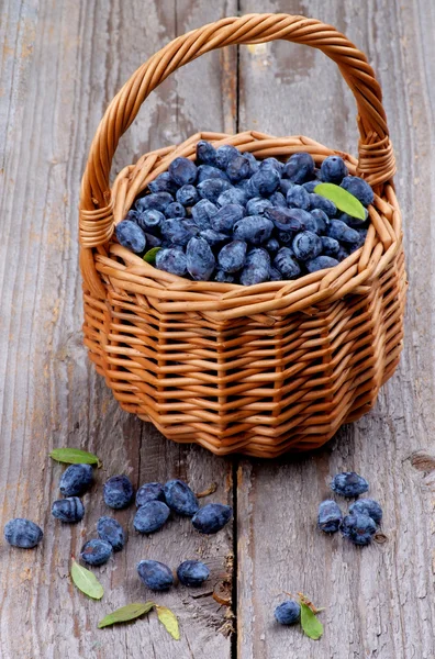 Honeysuckle Berries — Stock Photo, Image