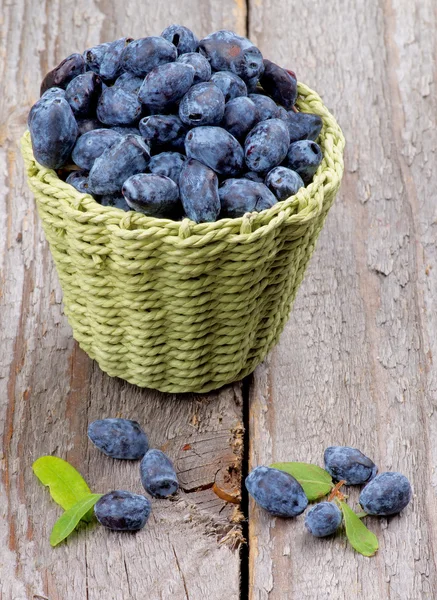 Bacche di caprifoglio — Foto Stock