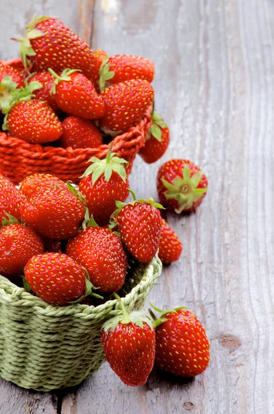 Forest Strawberries — Stock Photo, Image