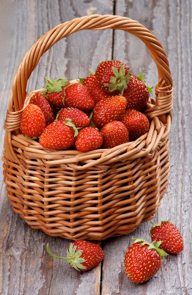 Forest Strawberries — Stock Photo, Image