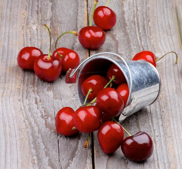 Sweet cherry — Stock fotografie