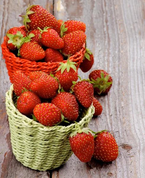 森林草莓 — 图库照片