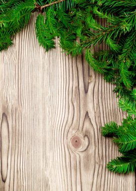 Köşe Spruce Şubesi ile Noel Teması Tahta Plank arkaplanına yakın plan