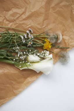 Papatyalar papatya papatyası lale dışkısı çiçekleri. Estetik Minimum Güneş Işığı Konsepti. 