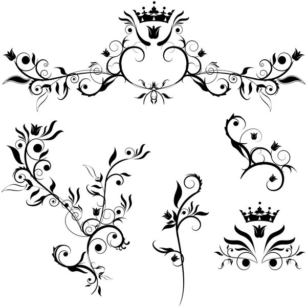 Декоративные растения
