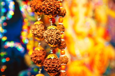 Rudraksha Hint boncuklar Shiva gözleri
