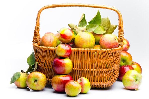 Свежее яблоко
