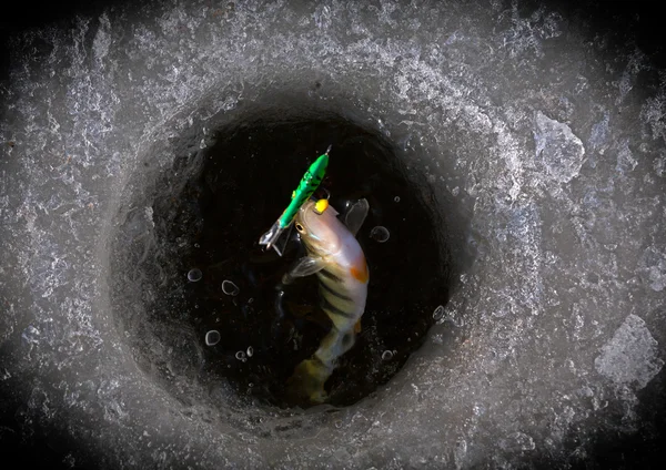 Winter fishing — Stock Photo, Image