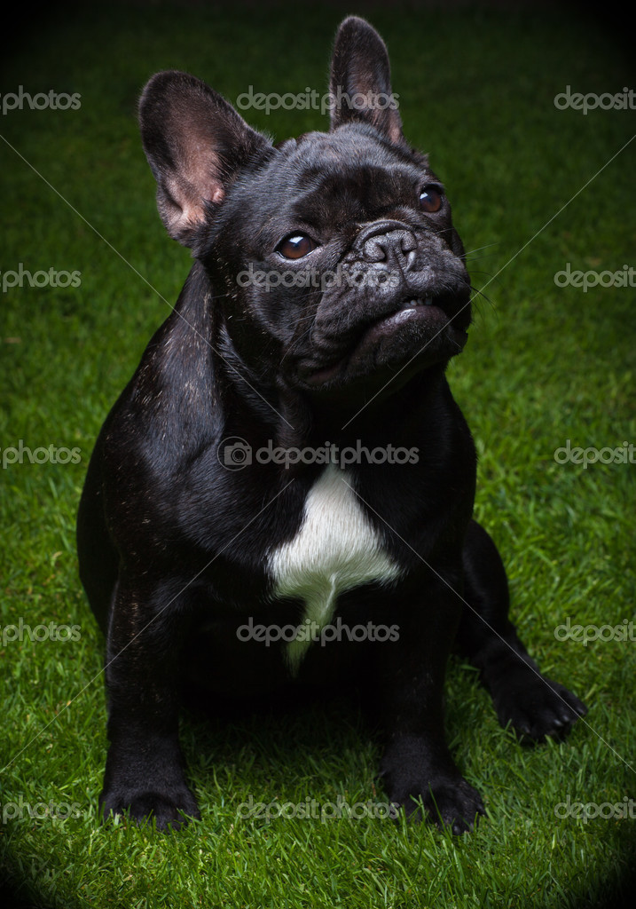 GORLOV