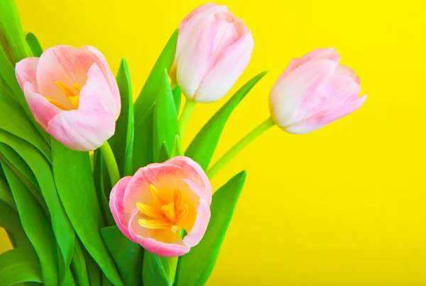 Flowers for  eighth March — Stock Photo, Image