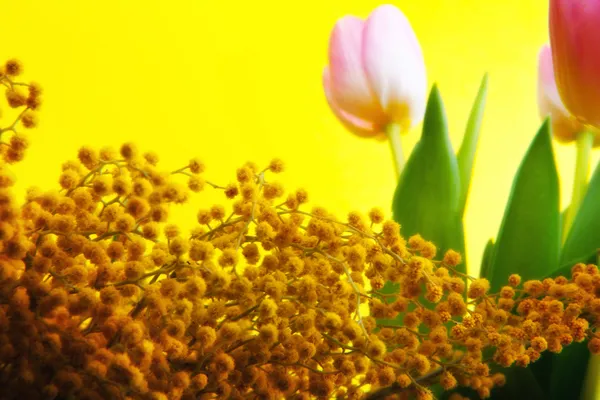 Flores para 8 de março — Fotografia de Stock