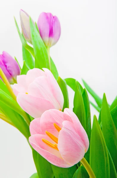 Flowers for  eighth March — Stock Photo, Image