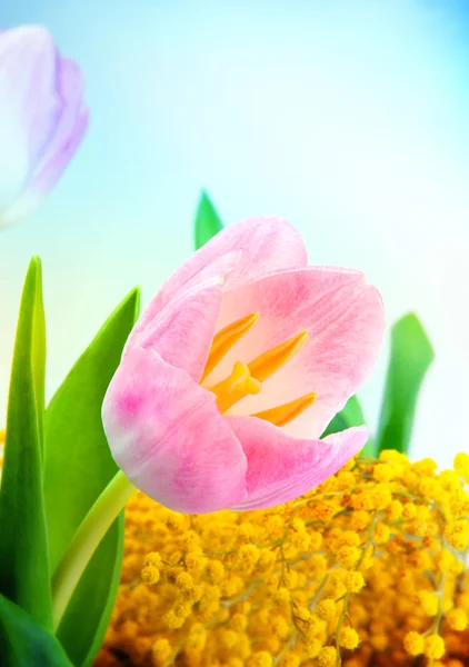 Flowers for  eighth March — Stock Photo, Image