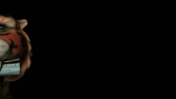 Kaplan Karanlık Arka Planının Görüntüleri — Stok video