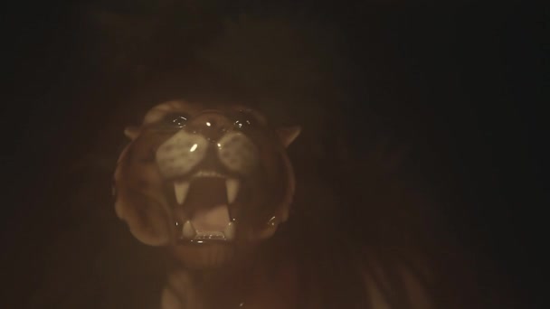 老虎黑暗背景的镜头 — 图库视频影像