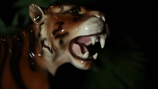 Πλάνα Από Σκουρόχρωμο Φόντο Τίγρη — Αρχείο Βίντεο