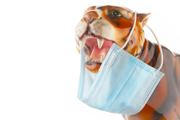 Afbeelding Van Tijger Masker Witte Achtergrond — Stockfoto