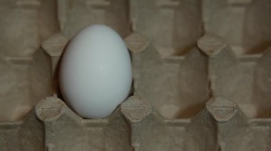 Yumurta karton kutusunun görüntüleri