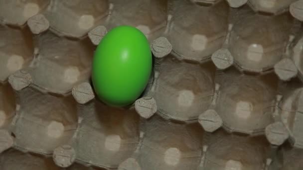Yumurta Karton Kutusunun Görüntüleri — Stok video